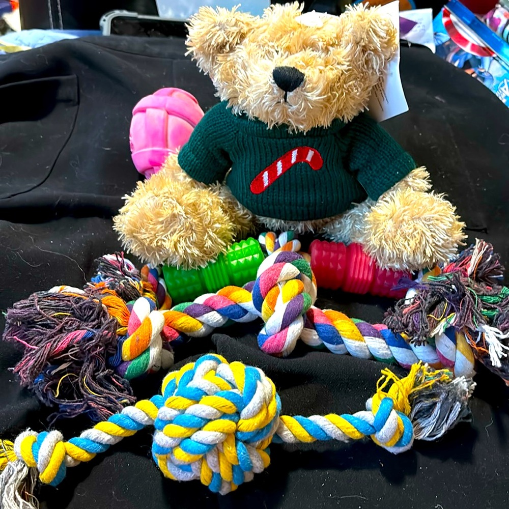 New 5 dog toys. For medium dog 3 rope 1 ready bear and 1 Hertz dura play toy